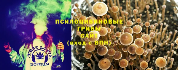 крисы Нягань